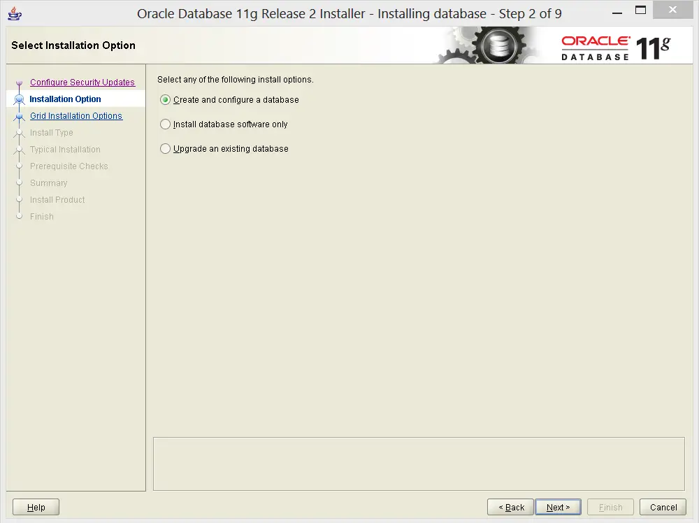 oracle 11 g install option