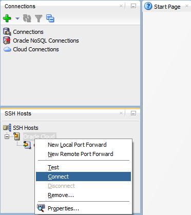 oracle-sql-developer-ssh-connect