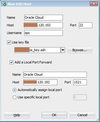 SQL Developer ssh window