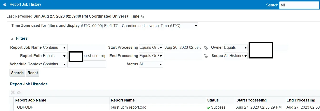 View BI Report Output